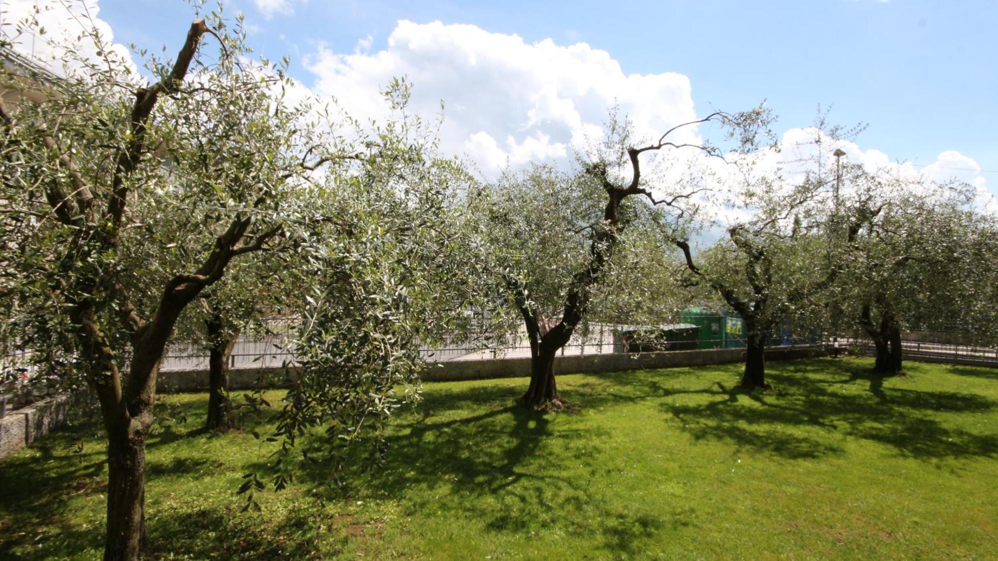B&B Casa Wanda Since 1999 Riva del Garda Cameră foto